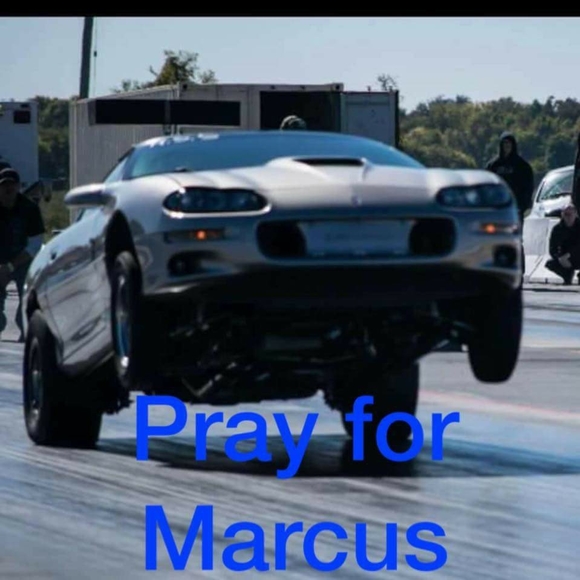 Meet your Posher, Chase - Picture 1 of 1